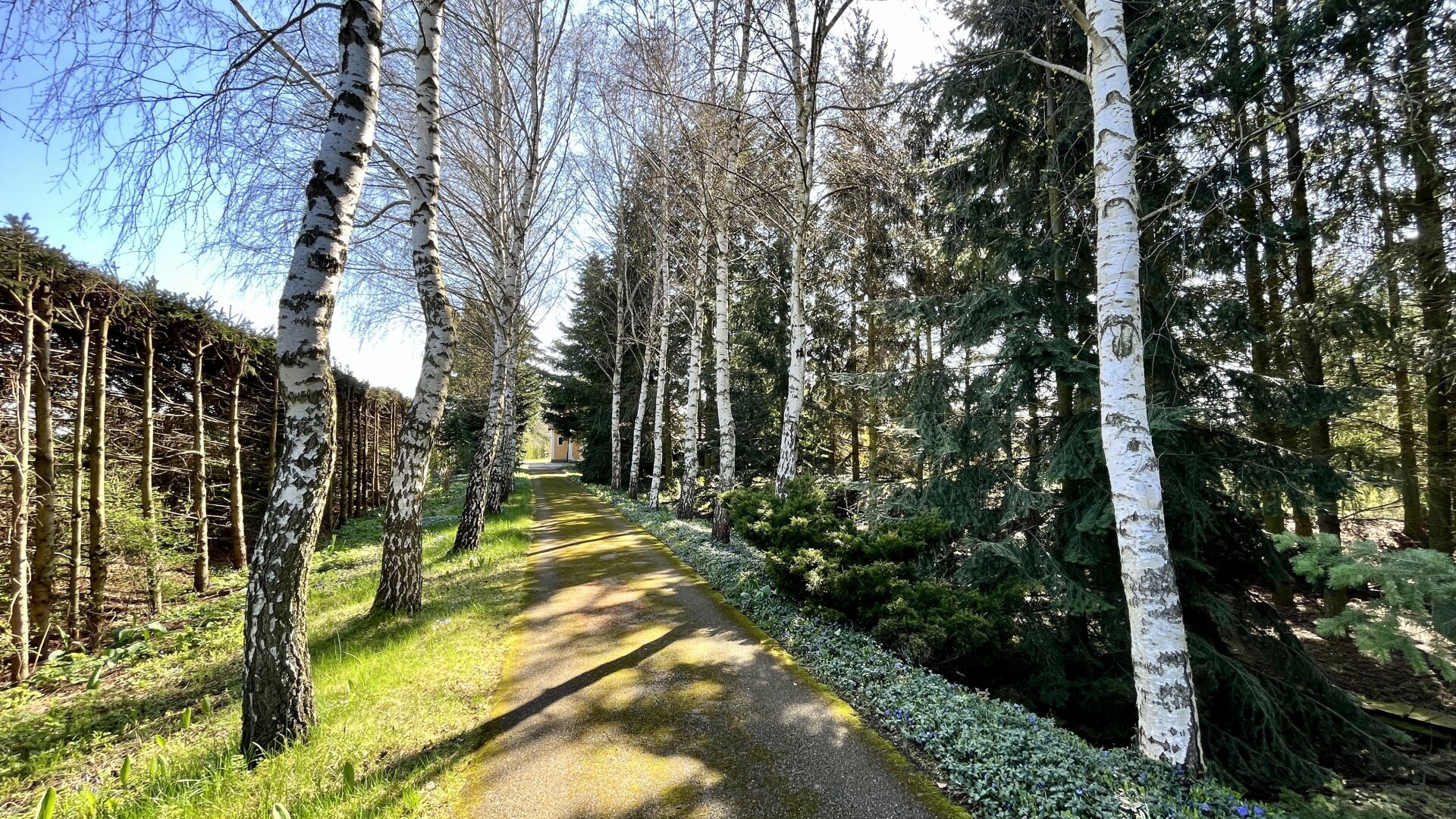 Ein Juwel im Waldviertel - echte Einzellage