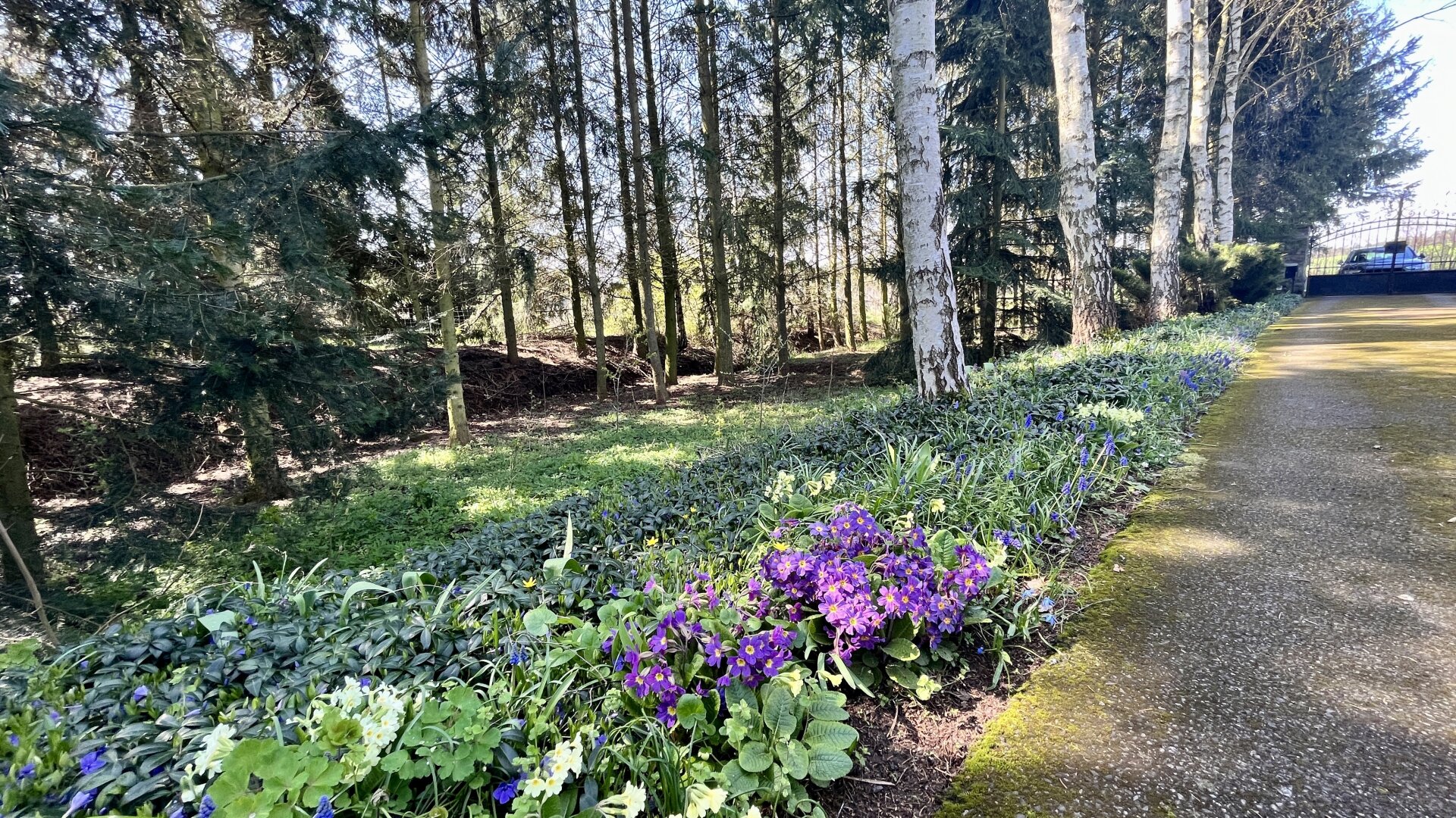 Ein Juwel im Waldviertel - echte Einzellage