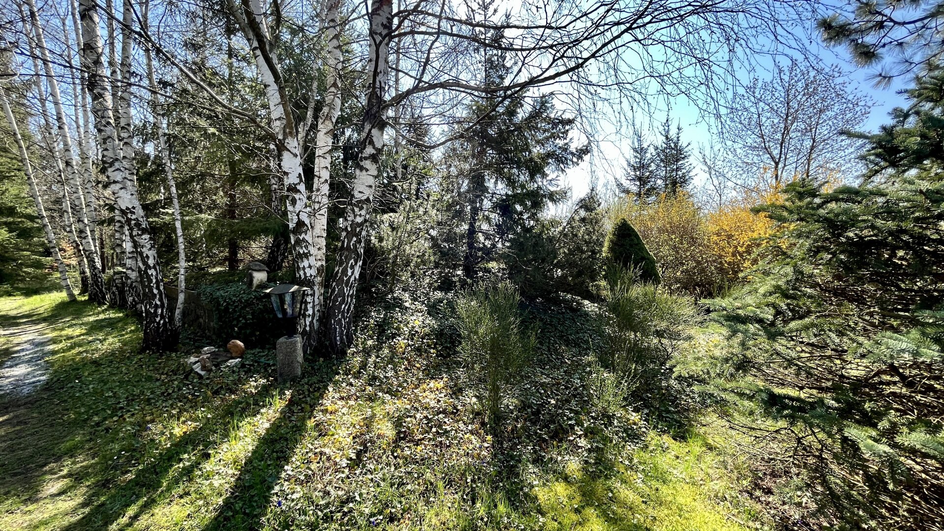 Ein Juwel im Waldviertel - echte Einzellage