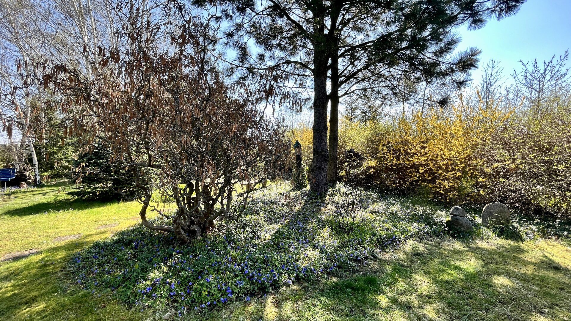 Ein Juwel im Waldviertel - echte Einzellage