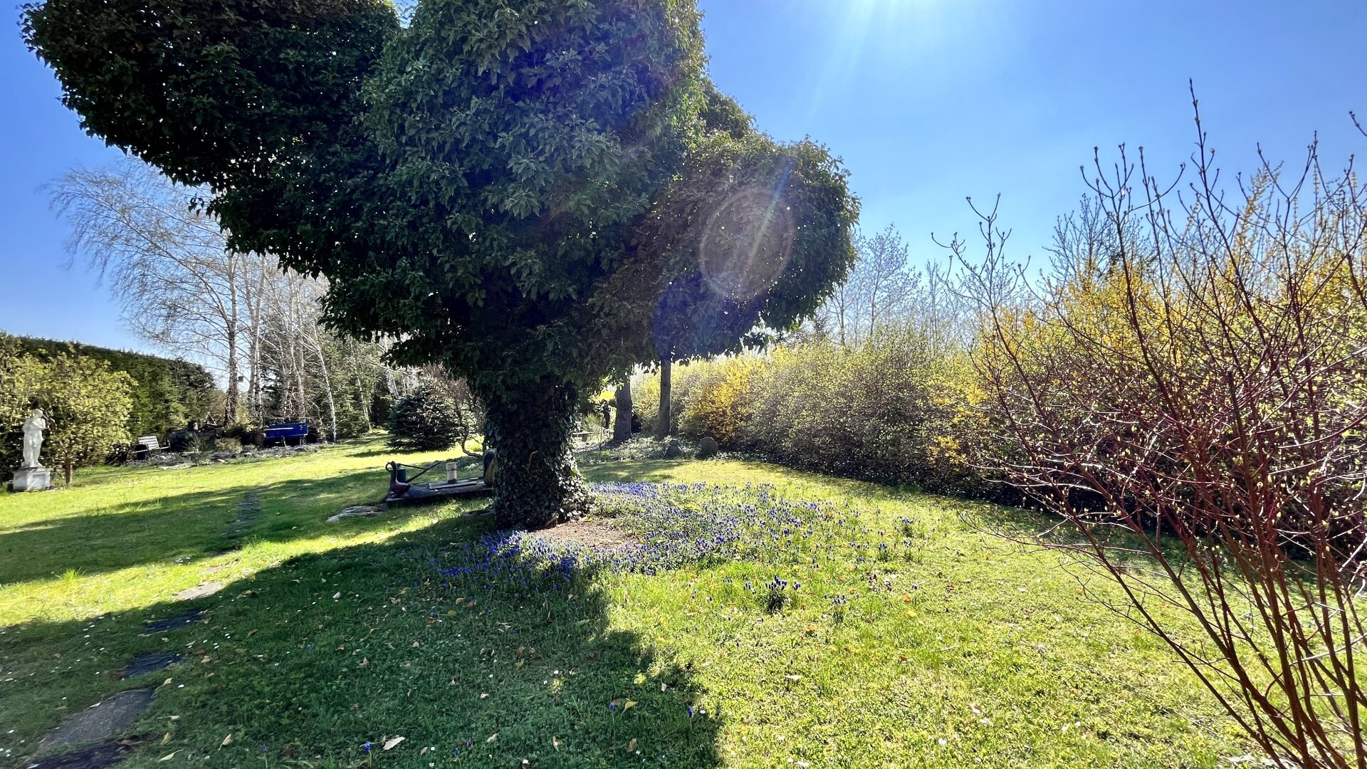 Ein Juwel im Waldviertel - echte Einzellage