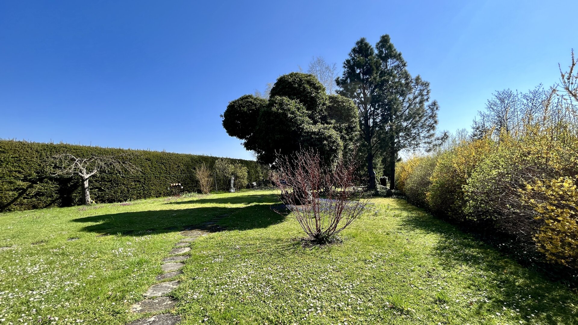Ein Juwel im Waldviertel - echte Einzellage