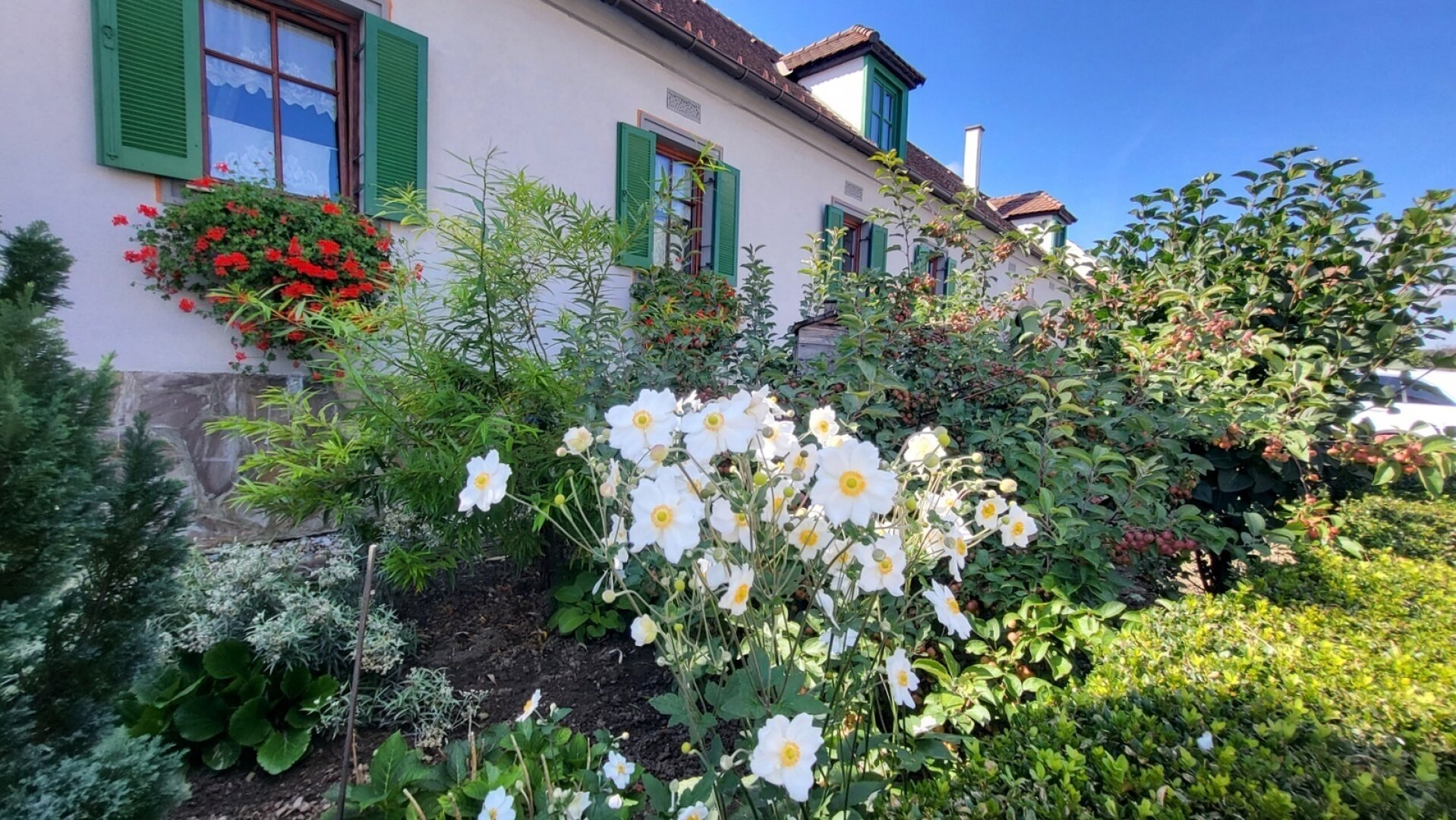Frühling am Bauernhof -  Tierhaltung