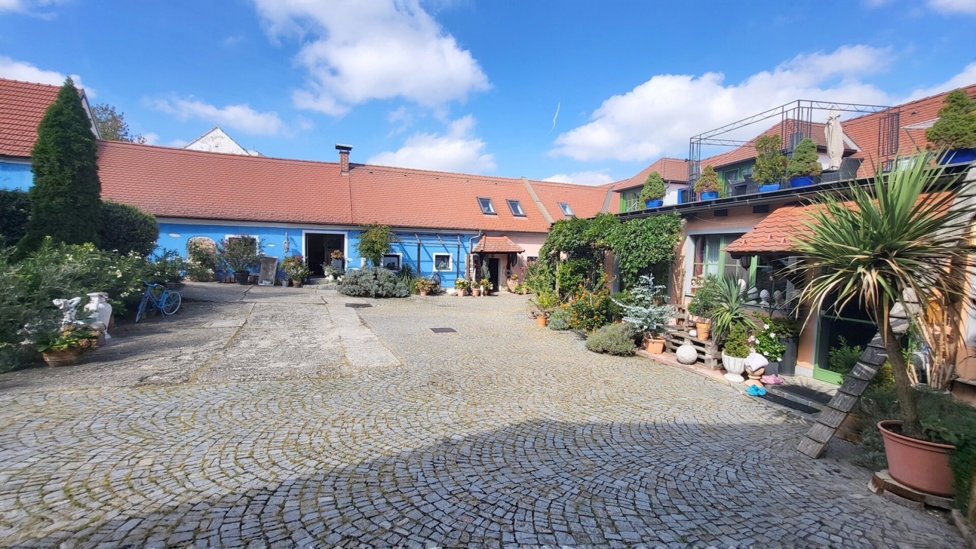 Frühling am Bauernhof -  Tierhaltung