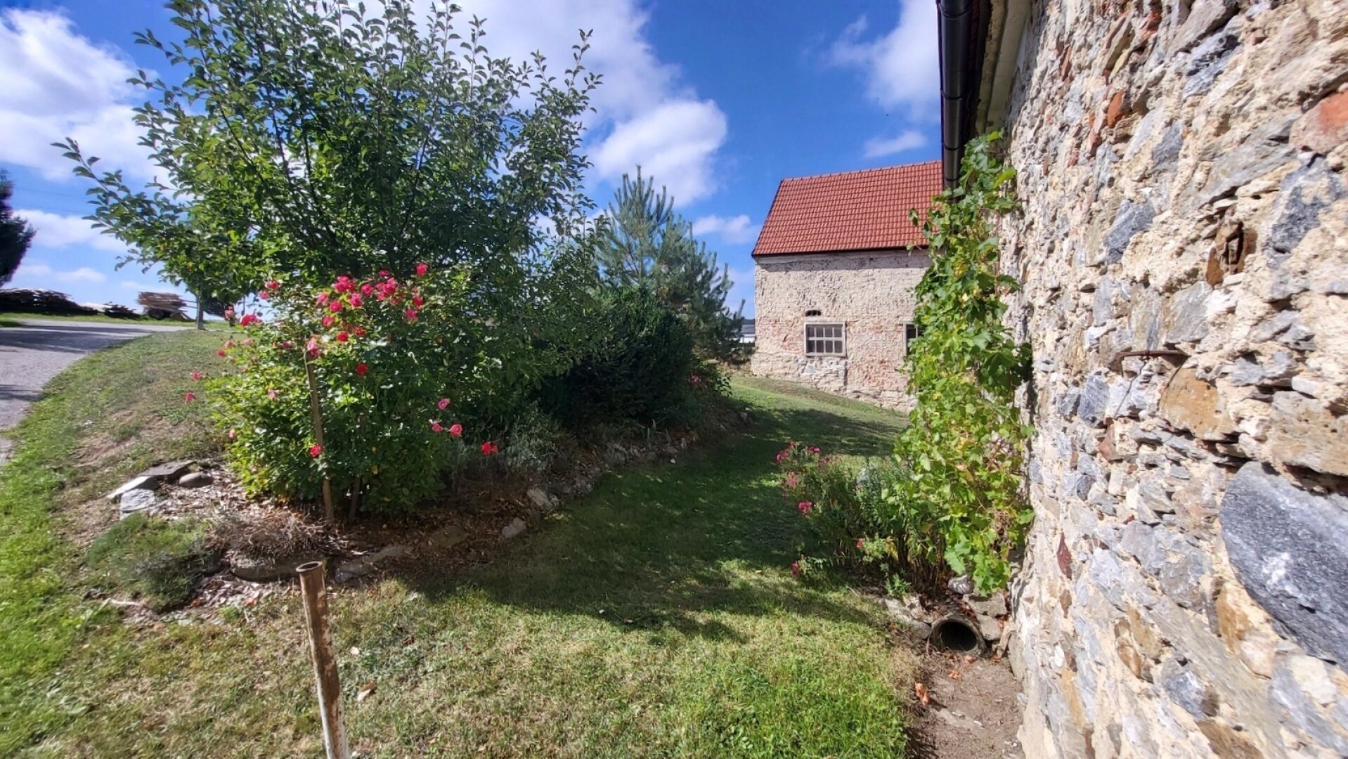 Frühling am Bauernhof -  Tierhaltung