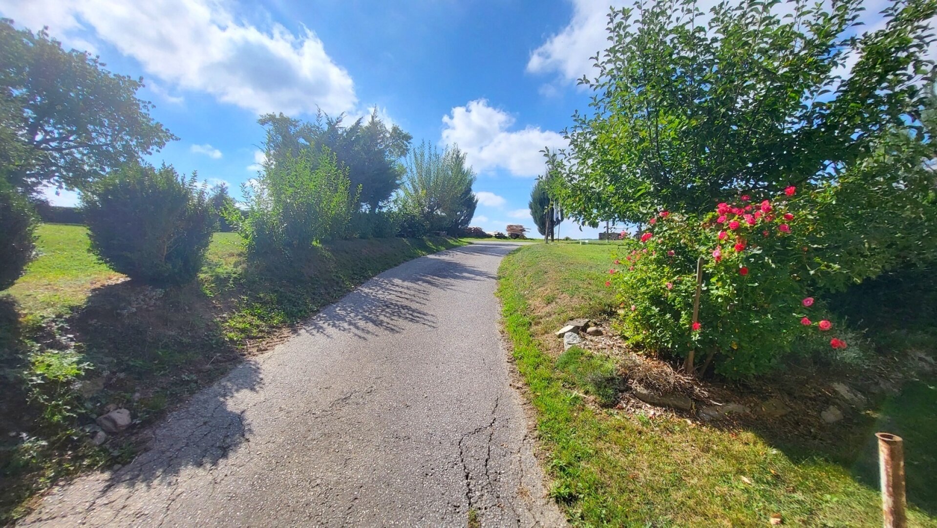 Frühling am Bauernhof -  Tierhaltung