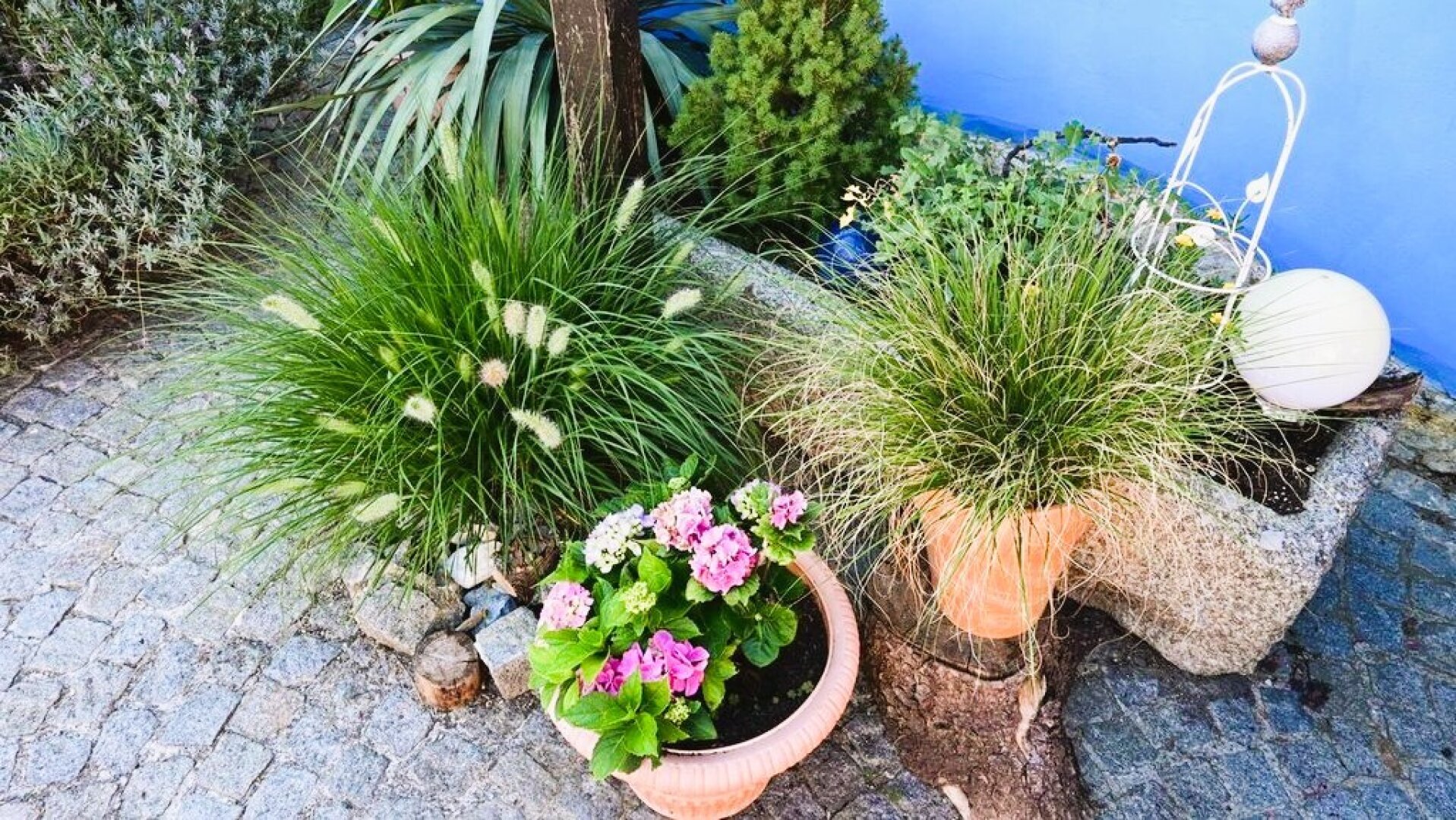 Frühling am Bauernhof -  Tierhaltung
