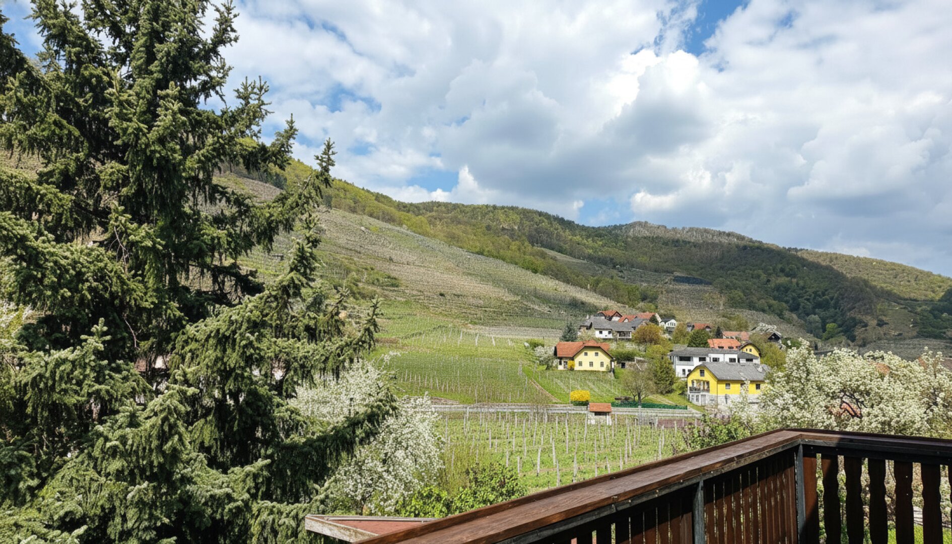 Eigentumswohnung 1. Stock mit grosser Terrasse  in der schönen Wachau