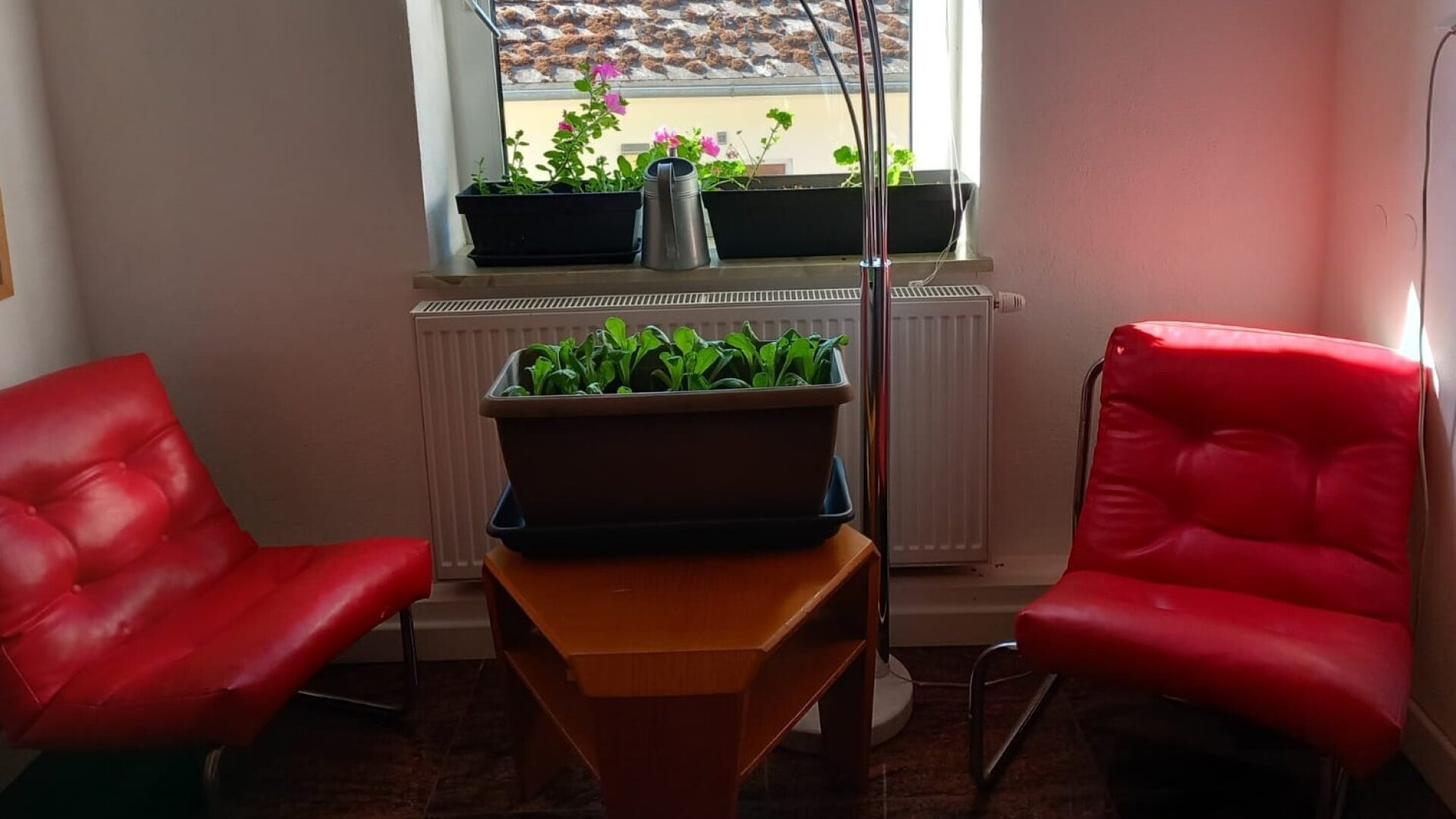 Erhöhte Lage - Seeblick!