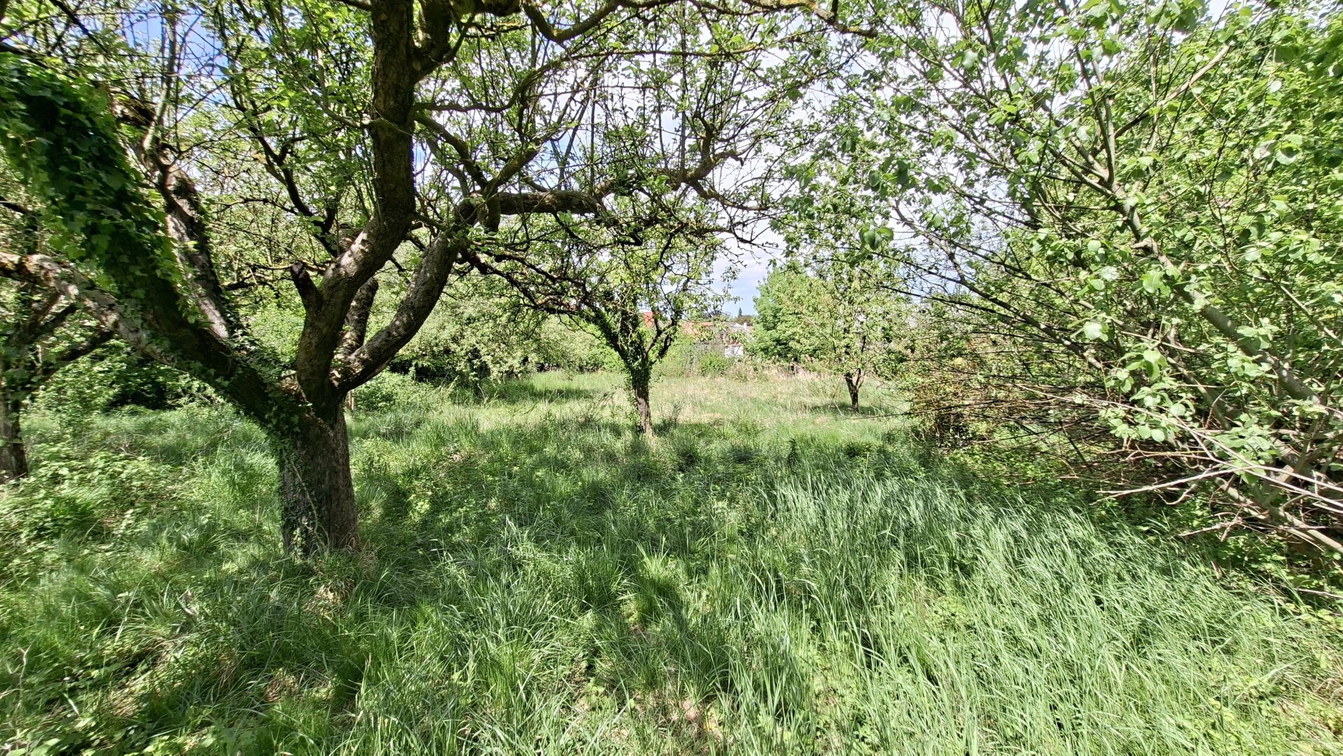 Baugrund in idyllischer Ruhelage, ohne Bauzwang