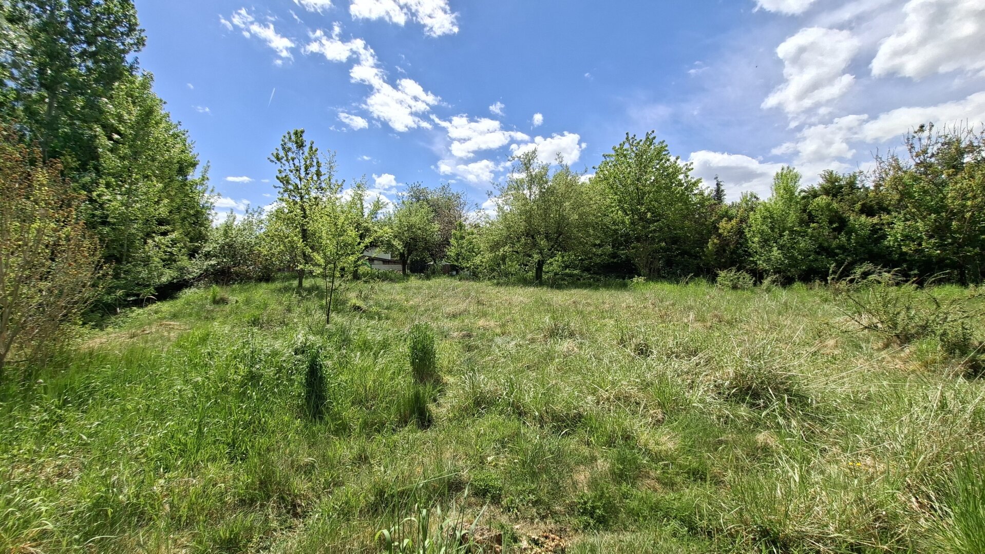Baugrund in idyllischer Ruhelage, ohne Bauzwang