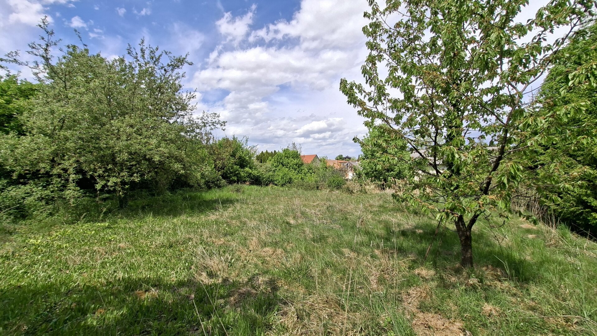 Baugrund in idyllischer Ruhelage, ohne Bauzwang