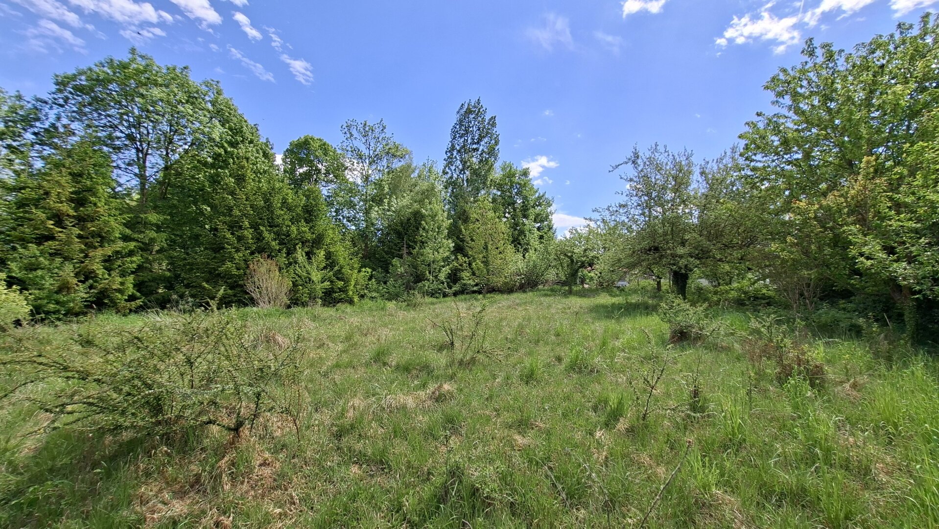 Baugrund in idyllischer Ruhelage, ohne Bauzwang