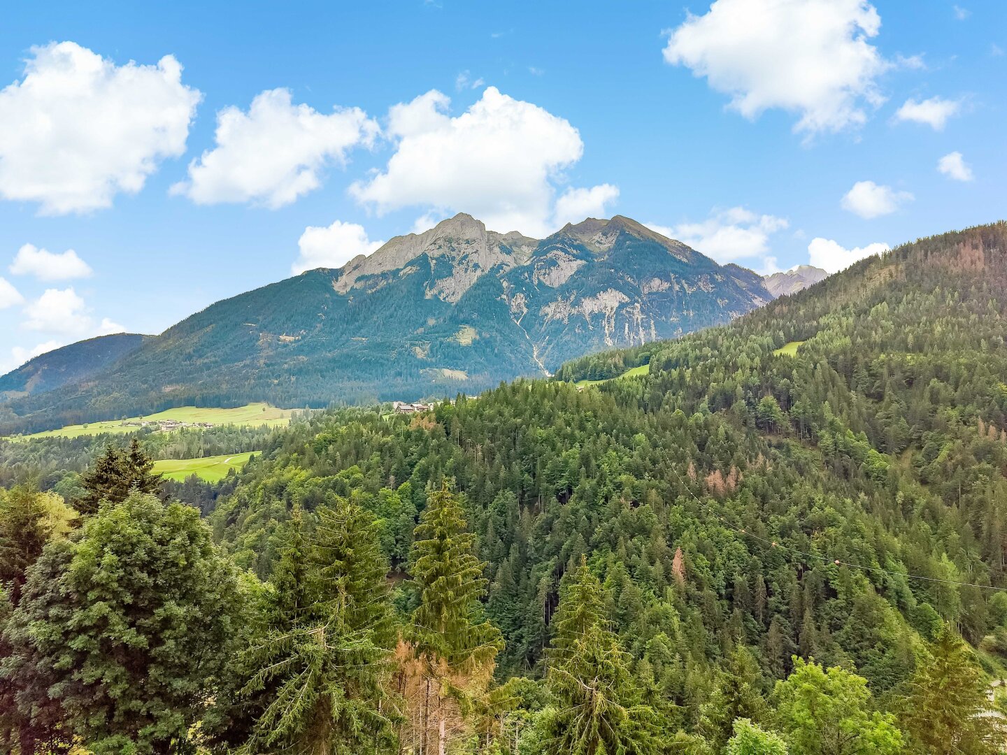 Wald und Alpenflächen im Lesachtal. - Umfassender Grundbesitz für Forst und Tierhaltung.