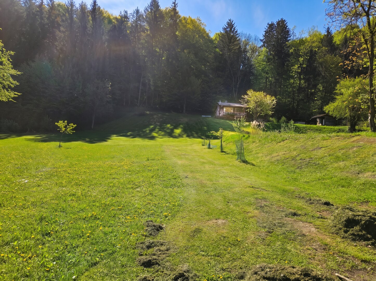 Naturnahes Freizeitgrundstück mit zwei Fischteichen und Holzhütte in Heimschuh
