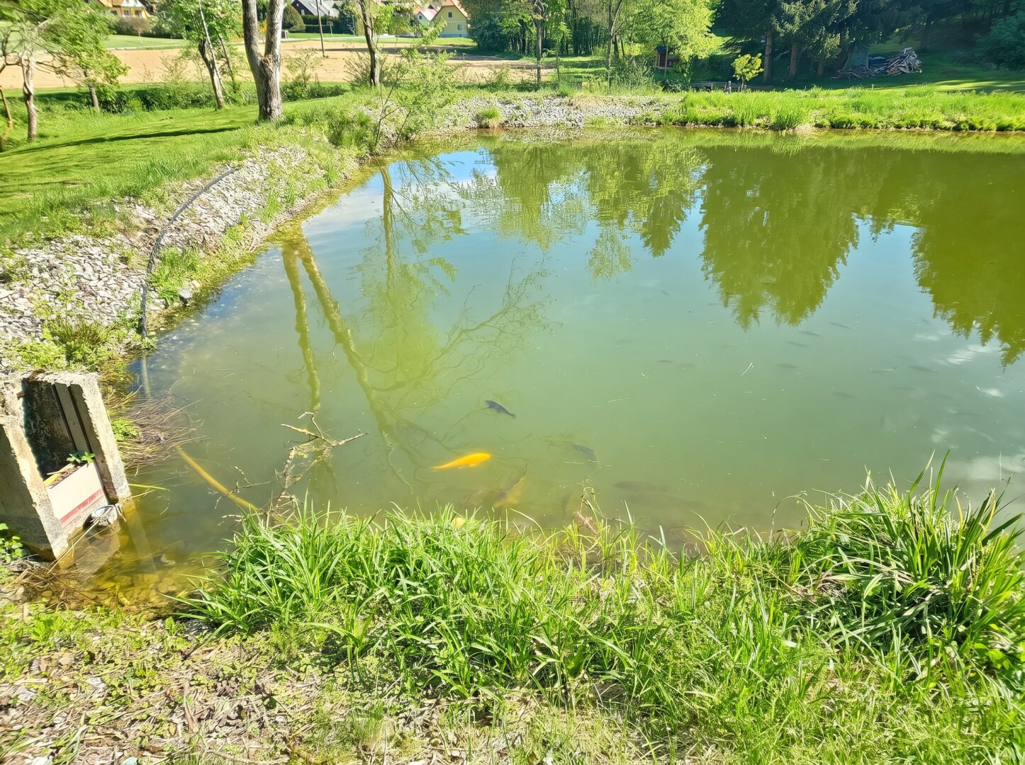 Naturnahes Freizeitgrundstück mit zwei Fischteichen und Holzhütte in Heimschuh