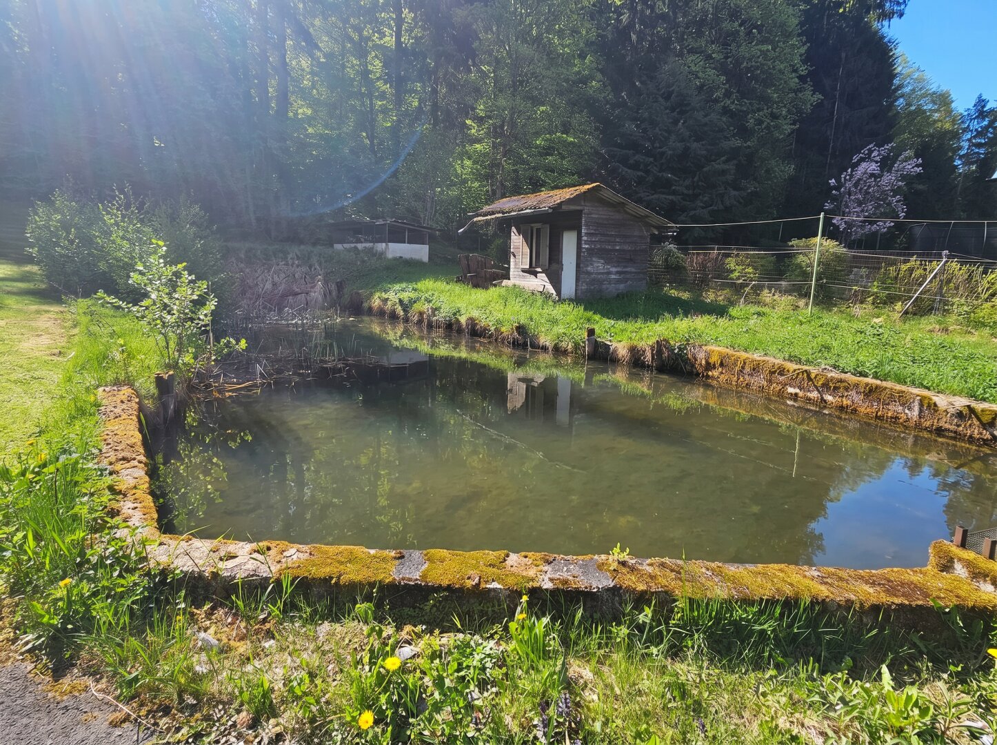 Naturnahes Freizeitgrundstück mit zwei Fischteichen und Holzhütte in Heimschuh