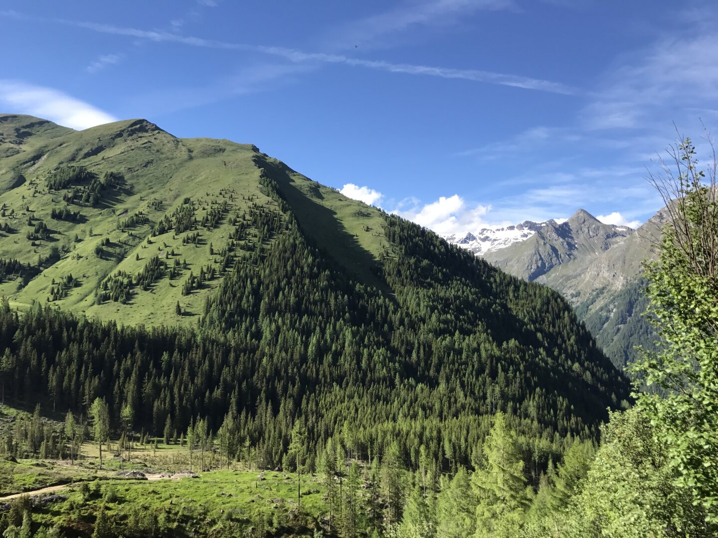 Diskrete Premium-Retreat-Liegenschaft in außergewöhnlicher Alleinlage in Südösterreich mit internationaler Ausrichtung.