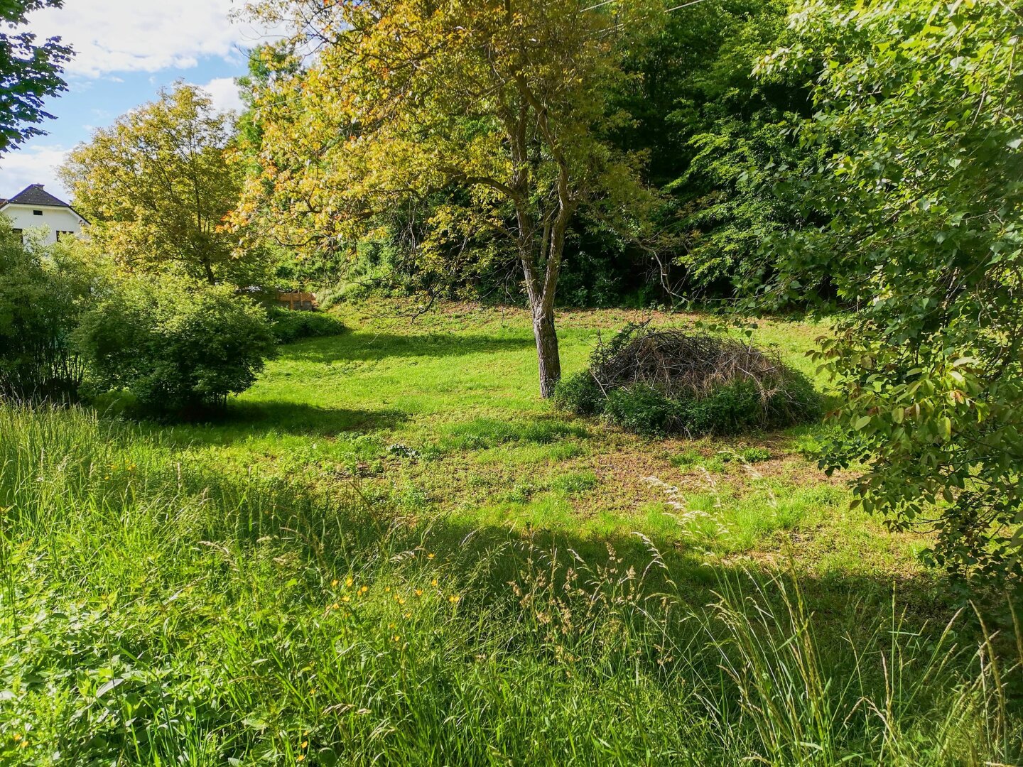 Update! - Freiland Grundstück an der Grazer Stadtgrenze. - Vielfältige Nutzungsmöglichkeiten.
