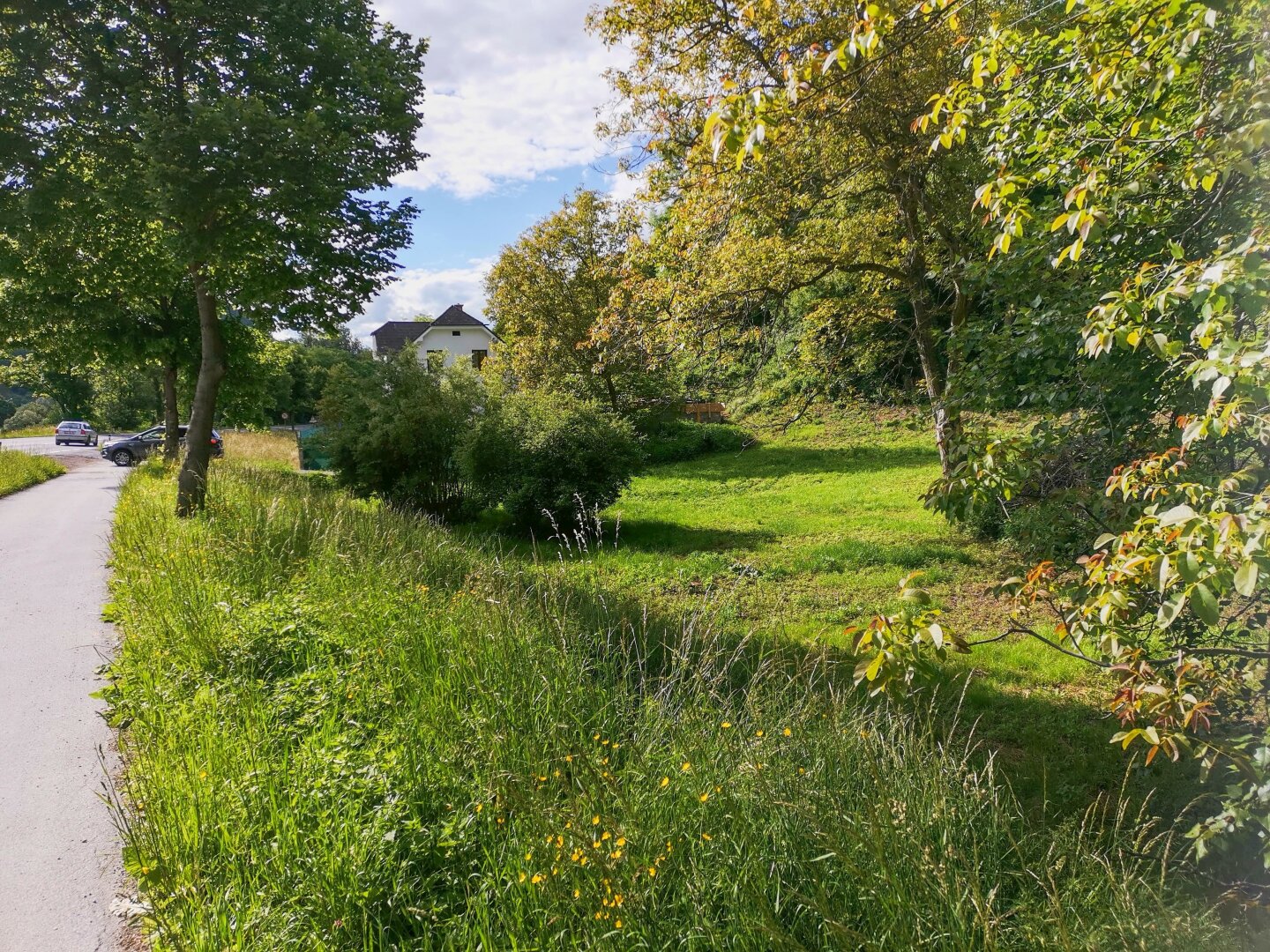Update! - Freiland Grundstück an der Grazer Stadtgrenze. - Vielfältige Nutzungsmöglichkeiten.