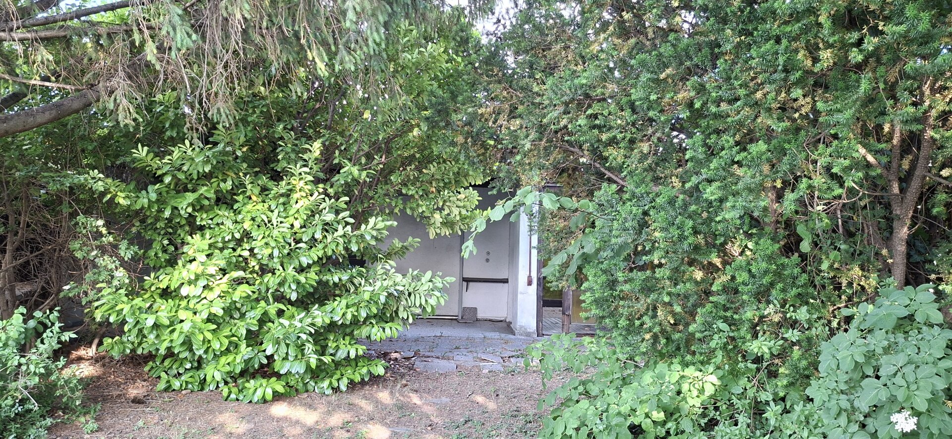 Badehäuser in allen Himmelsrichtungen, renoierungsbedürftig, Mietgrund