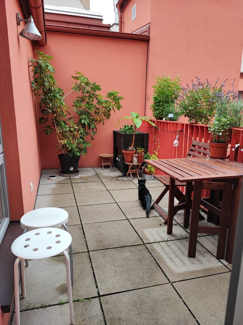 Historisches Dachgeschossjuwel mit Terrasse – 1090 Wien