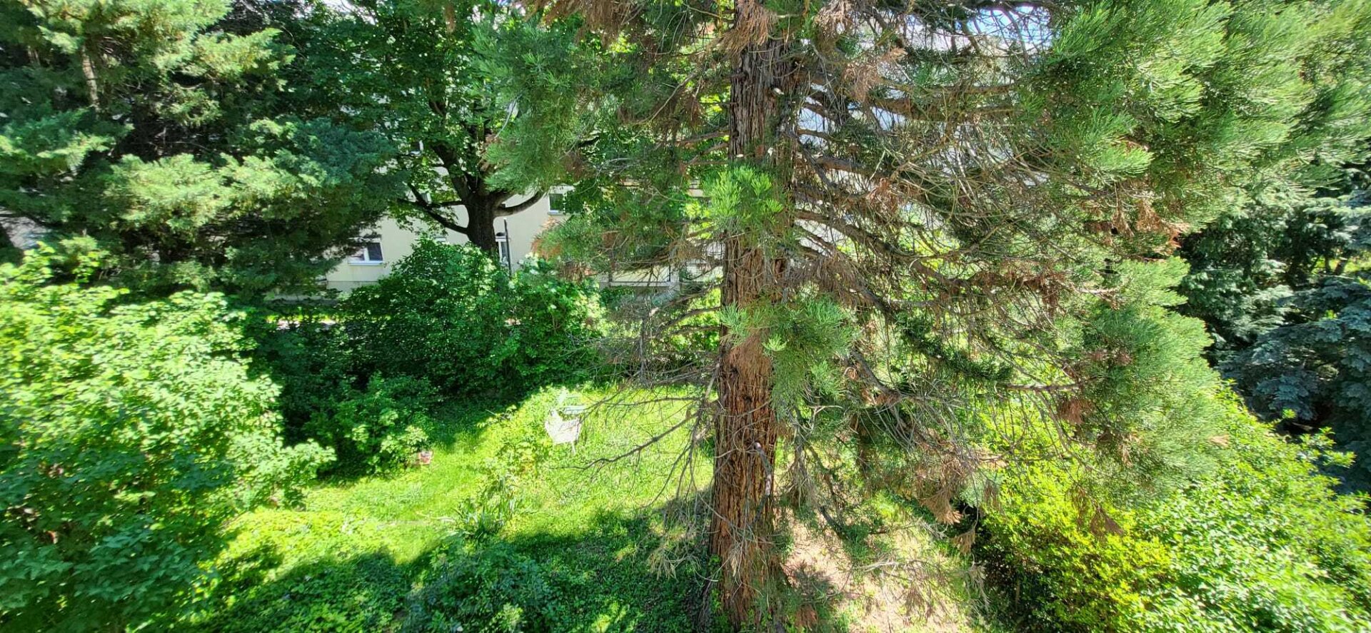 526m² Grundstück mit Altbestand in Oberdöbling 1190 Wien