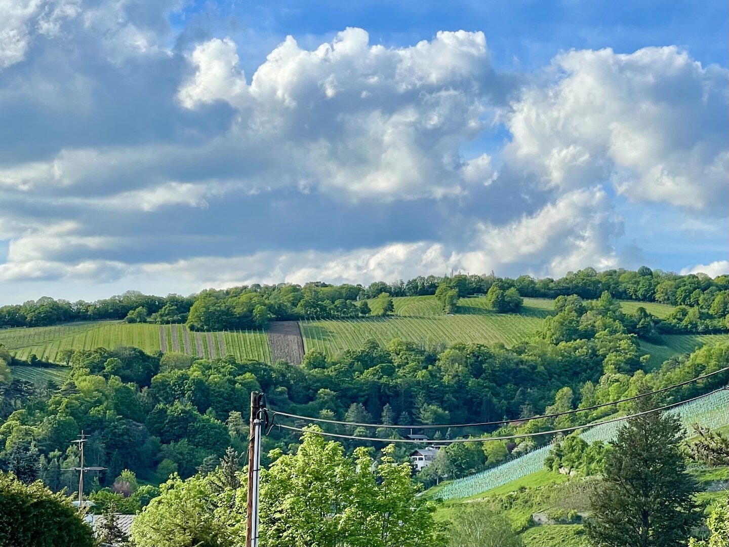 Exklusives Traumhaus im Grünen mit Fernblick & großem Pool in Klosterneuburg - Neubau
