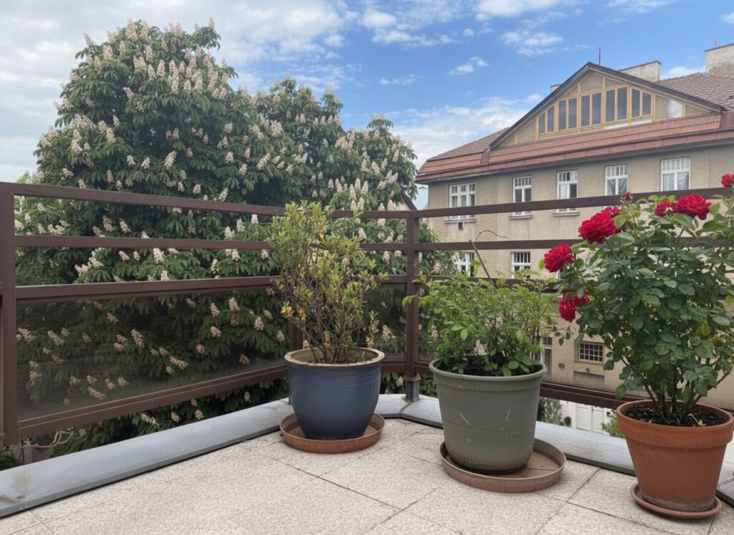 4 Zimmer Dachterrassentraum mit atemberaubendem Blick über Wien