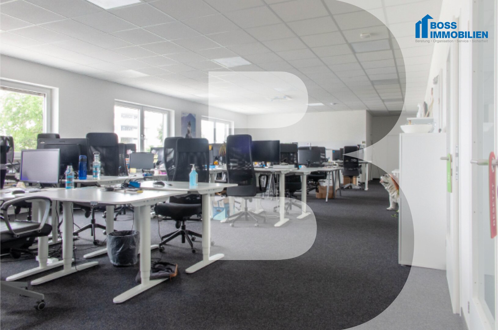 Businessfläche am TOP Standort - 380 m²