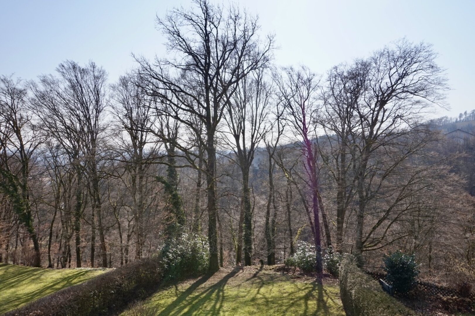 Bachlberg | Große 4 Zimmerwohnung mit Balkon und Garten in Bestlage Linz-Urfahr!!