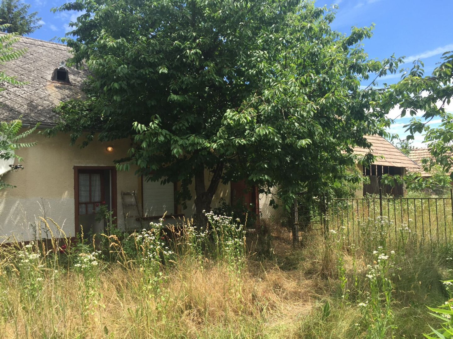 Traumhaftes Grundstück in Ungarn - 4292m² zum unschlagbaren Preis von €79,700.00 in Nagycsepely!