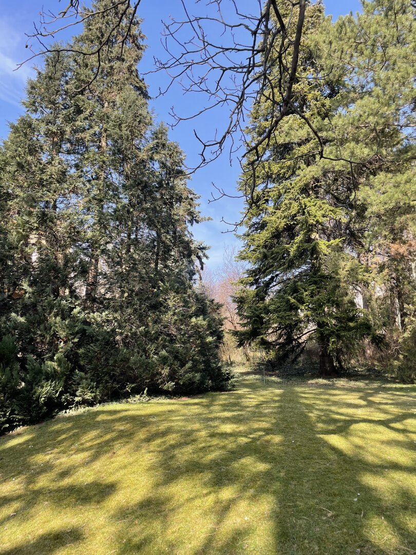 Wohnen im Döblinger Villenviertel!