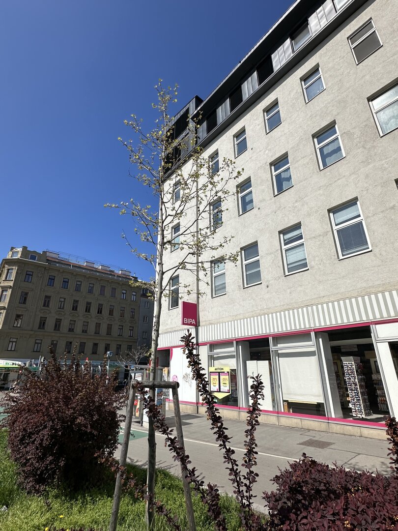 Frisch renovierte Dachgeschoss - Maisonette mit 2 Terrassen, Kamin und Klimaanlage