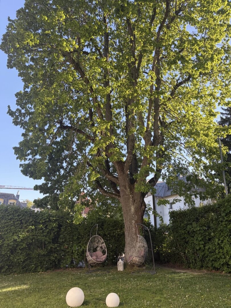 Hochwertig sanierte Gründerzeitvilla mit ca. 1.000 m² Garten und Garage in Bestlage Hietzing – TOP PREIS