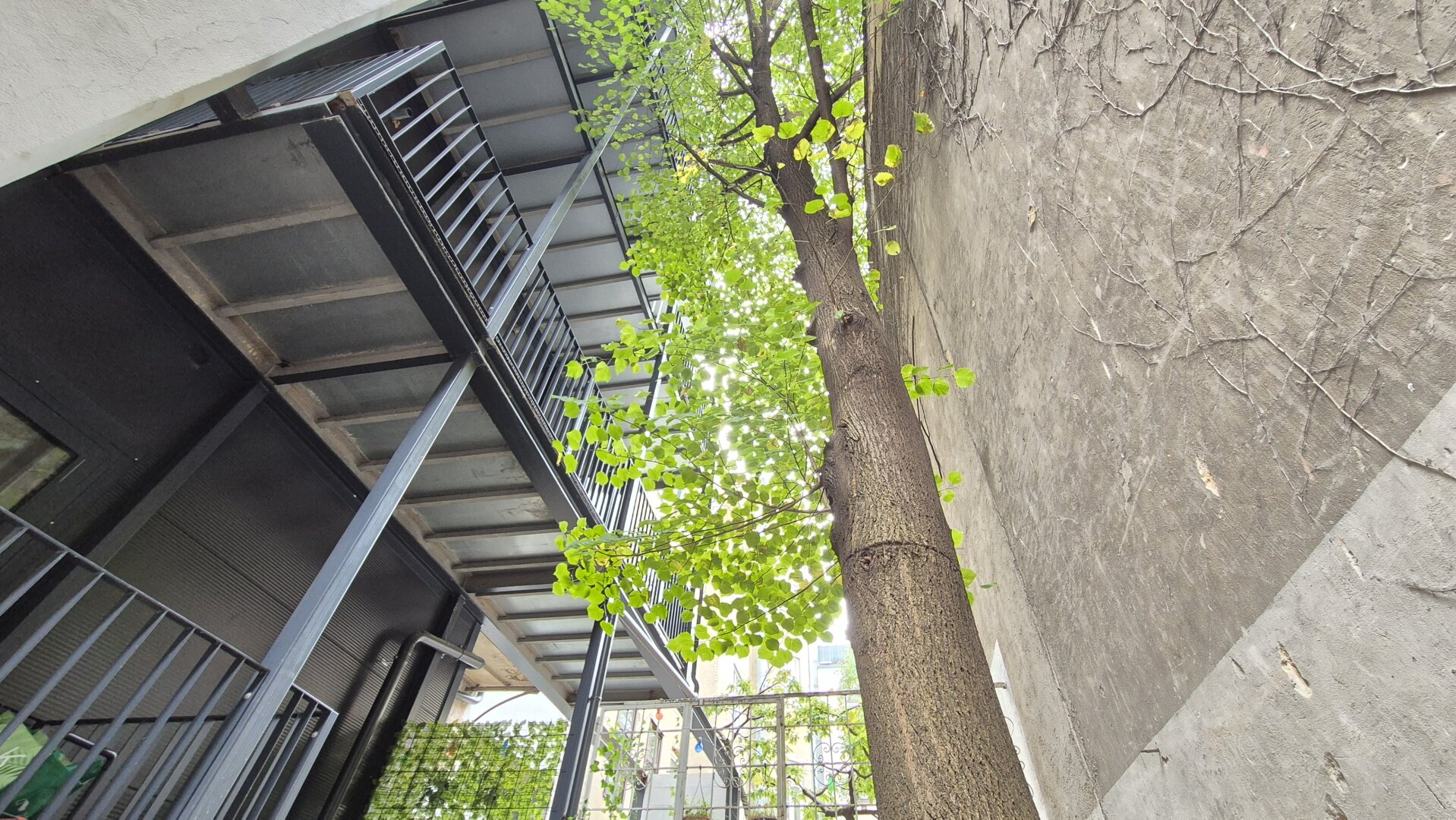 | UNBEFRISTET VERMIETETER ALTBAU | SANIERTES HAUS | STILFASSADE