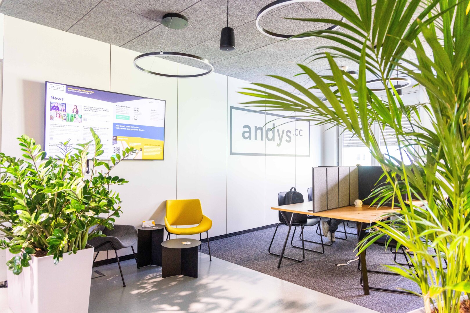 | Büroflächen und Co-working in Business-Center | LASSALLESTRASSE