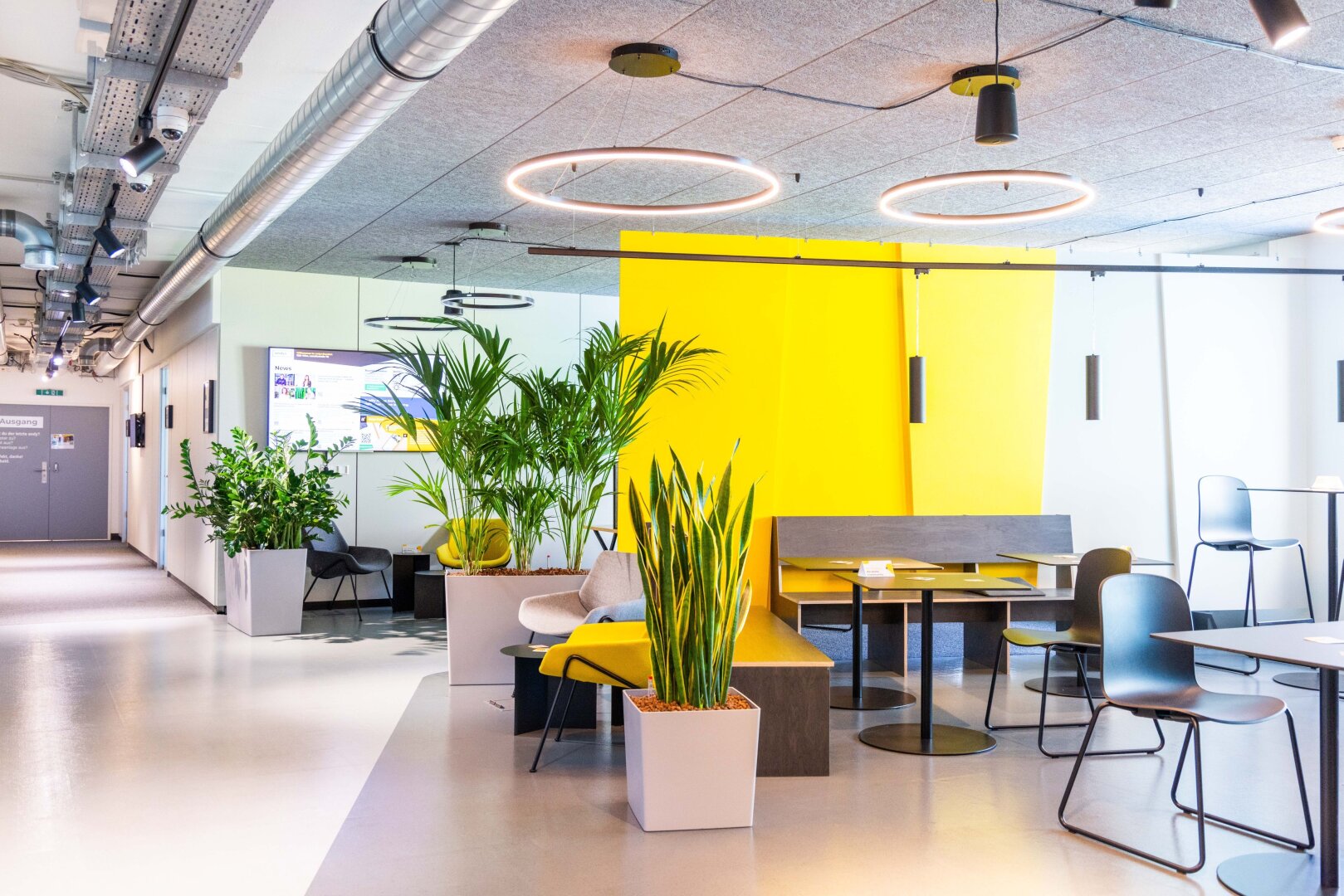 | Büroflächen und Co-working in Business-Center | LASSALLESTRASSE