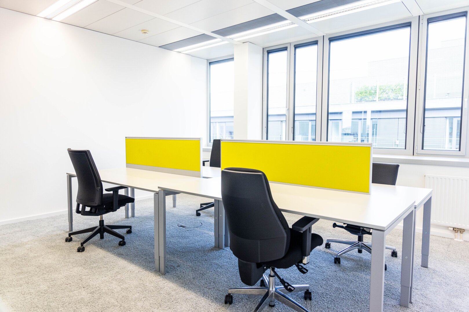 + + + Büroflächen und Co-working in Business-Center | EUROPLAZA + + +