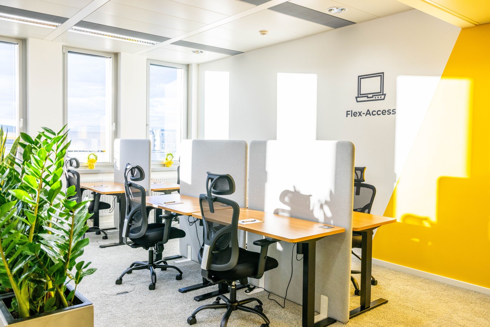 + + + Büroflächen und Co-working in Business-Center | EUROPLAZA + + +