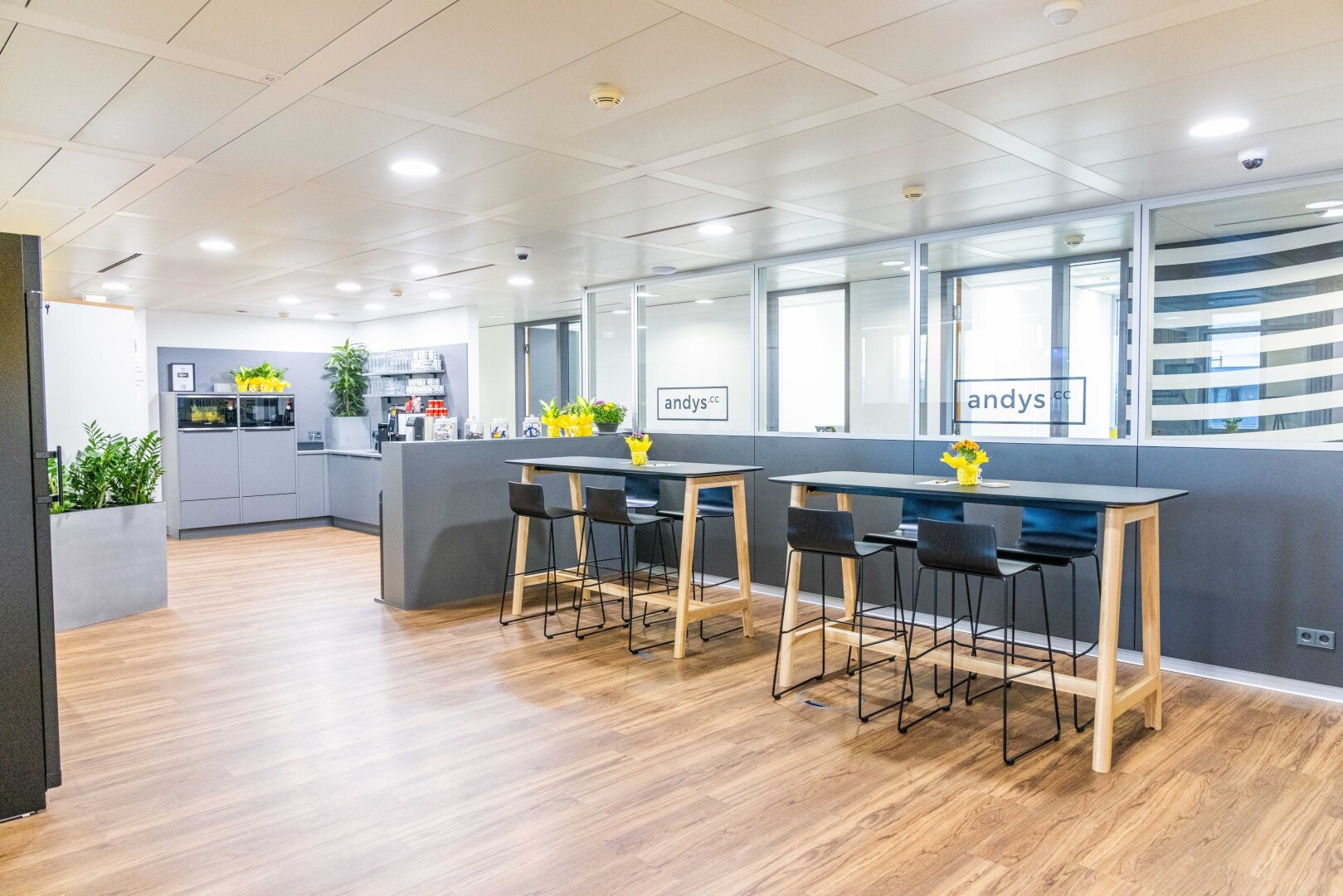 + + + Büroflächen und Co-working in Business-Center | EUROPLAZA + + +