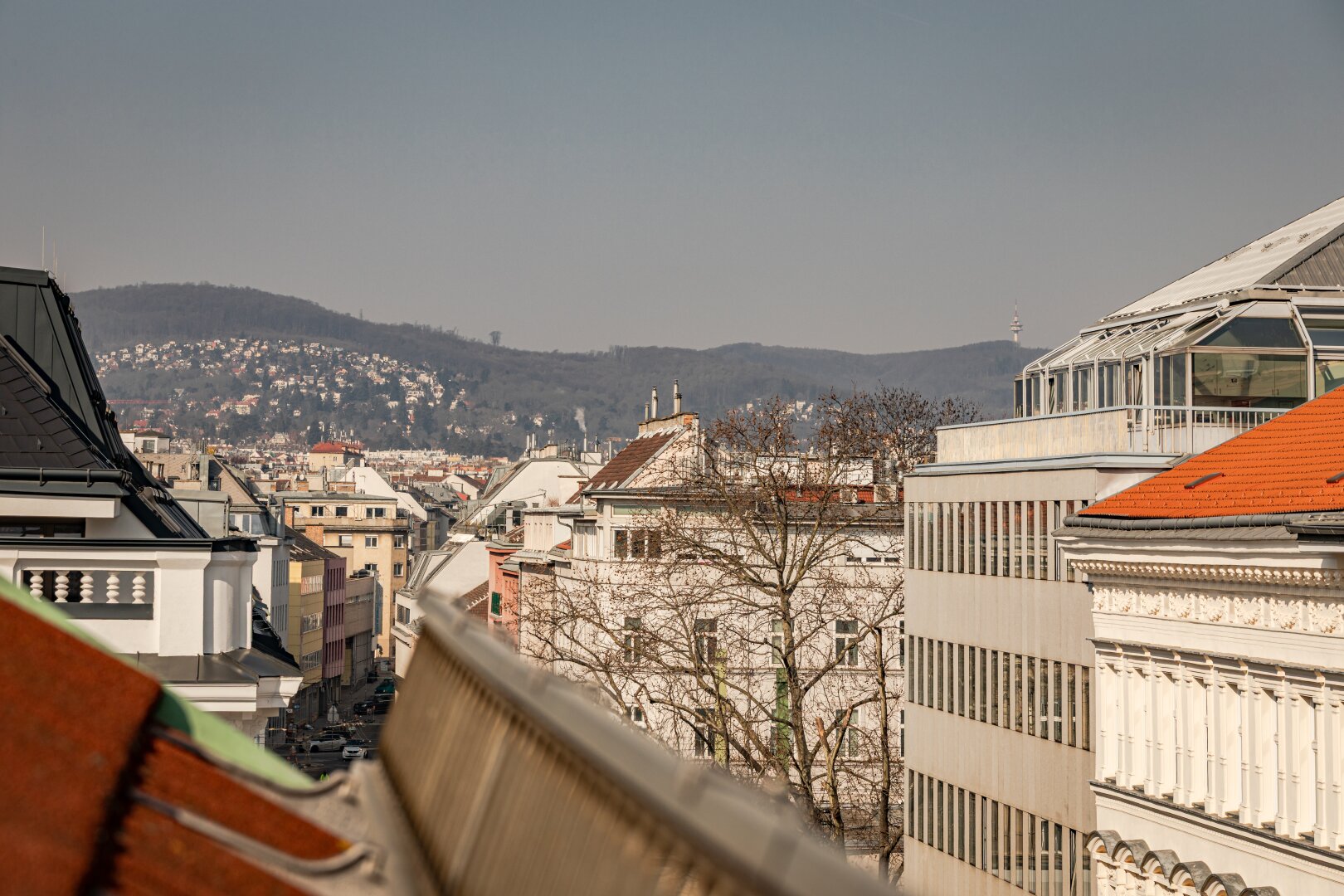 BAUBEWILLIGTER ROHDACHBODEN mit GARAGENOPTION