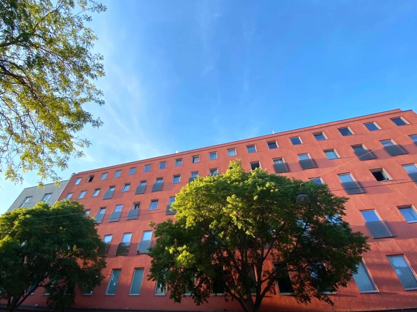 GELEGENHEIT! | PREISWERTE 2-ZIMMER-DACHGESCHOSSWOHNUNG | SOMMER AUF DER DACHTERRASSE | AB SOFORT VERFÜGBAR