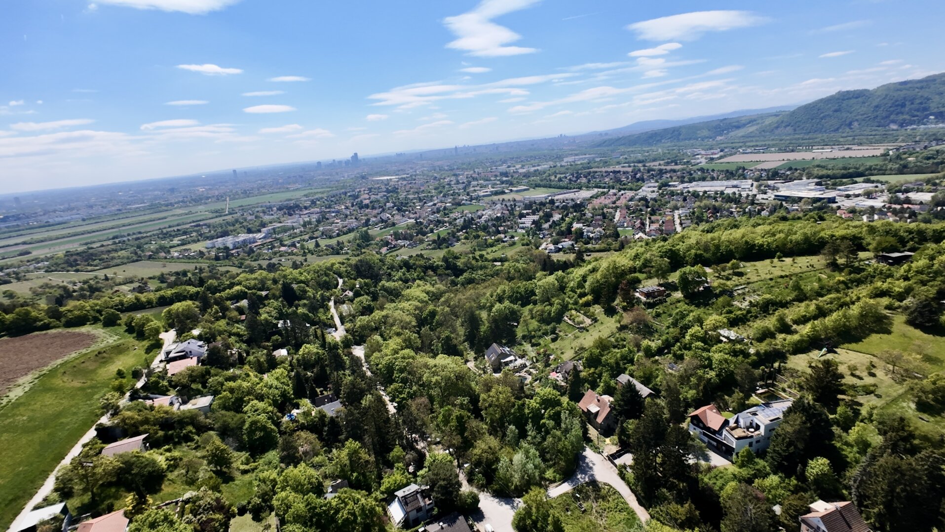 TRAUMGRUNDSTÜCK AM KLAUSGRABEN | Langenzersdorf | BAUGRUND