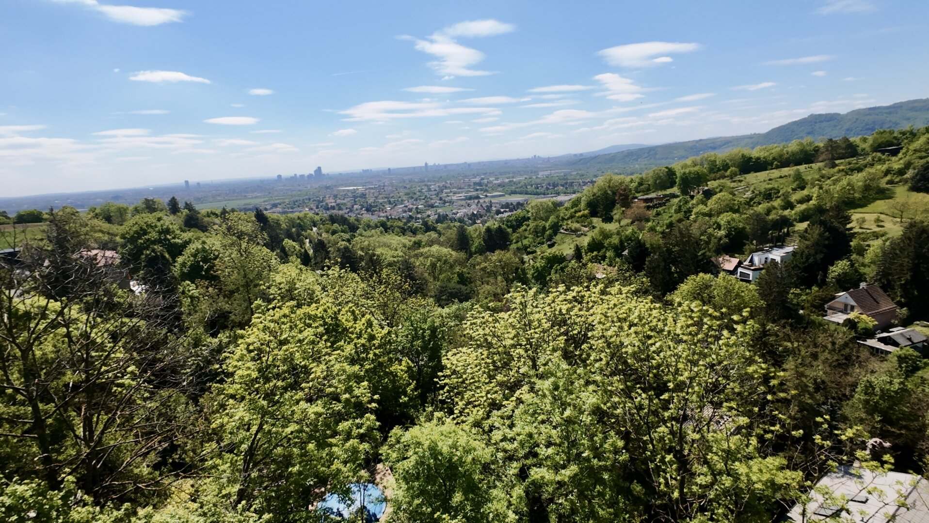 TRAUMGRUNDSTÜCK AM KLAUSGRABEN | Langenzersdorf | BAUGRUND