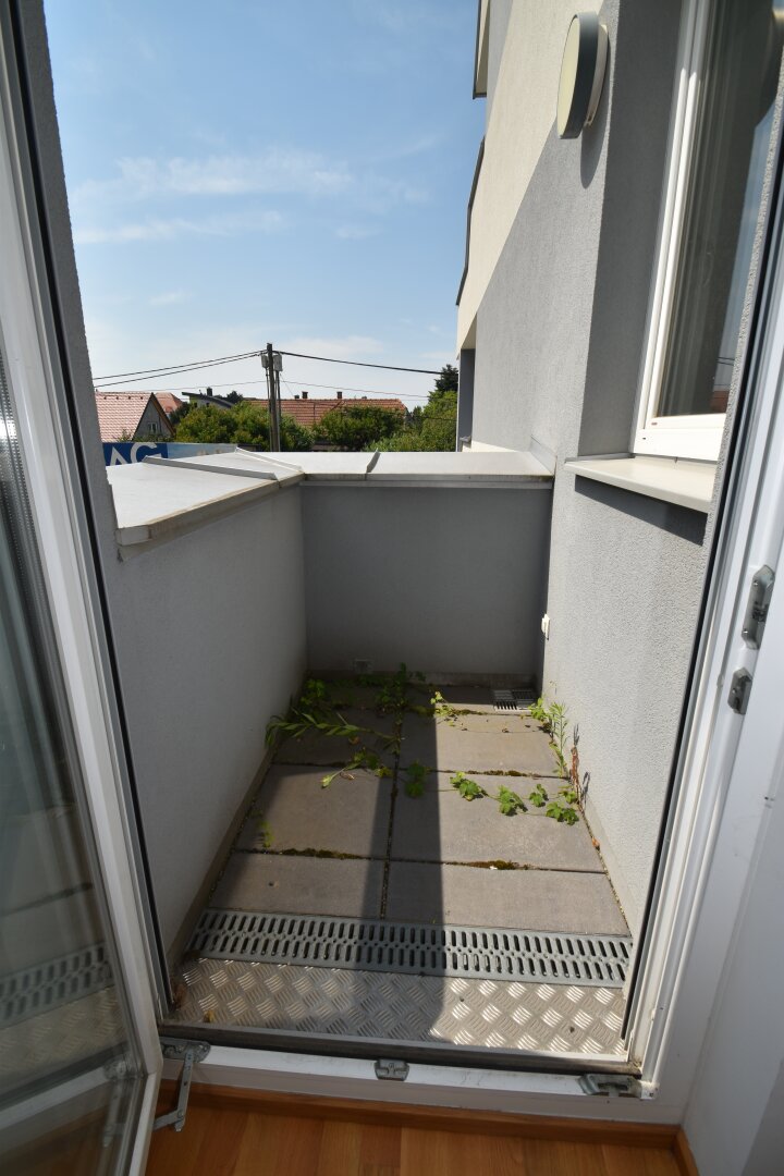 BALKONTRAUM NAHE ALTE DONAU: Großzügige 4-Zimmer Wohnung mit 2 Balkonen/Terrassen und Parkplatz