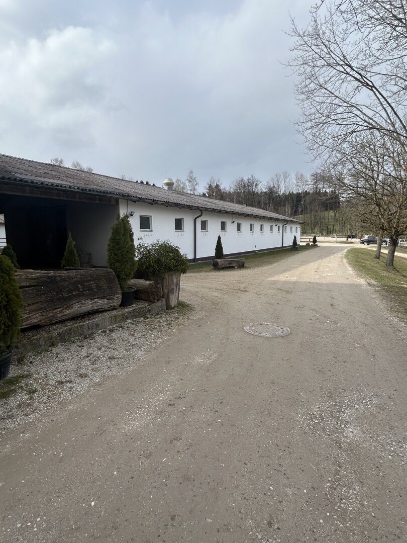 Romantischer Reithof mit Potential
