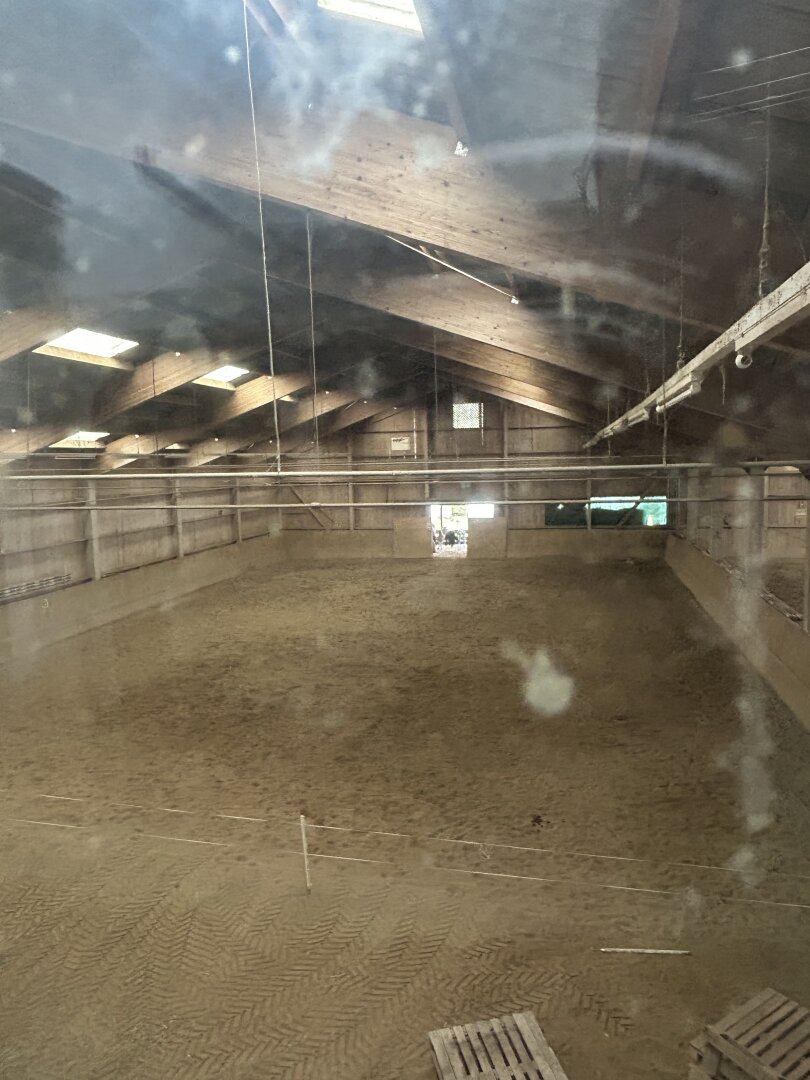 Romantischer Reithof mit Potential