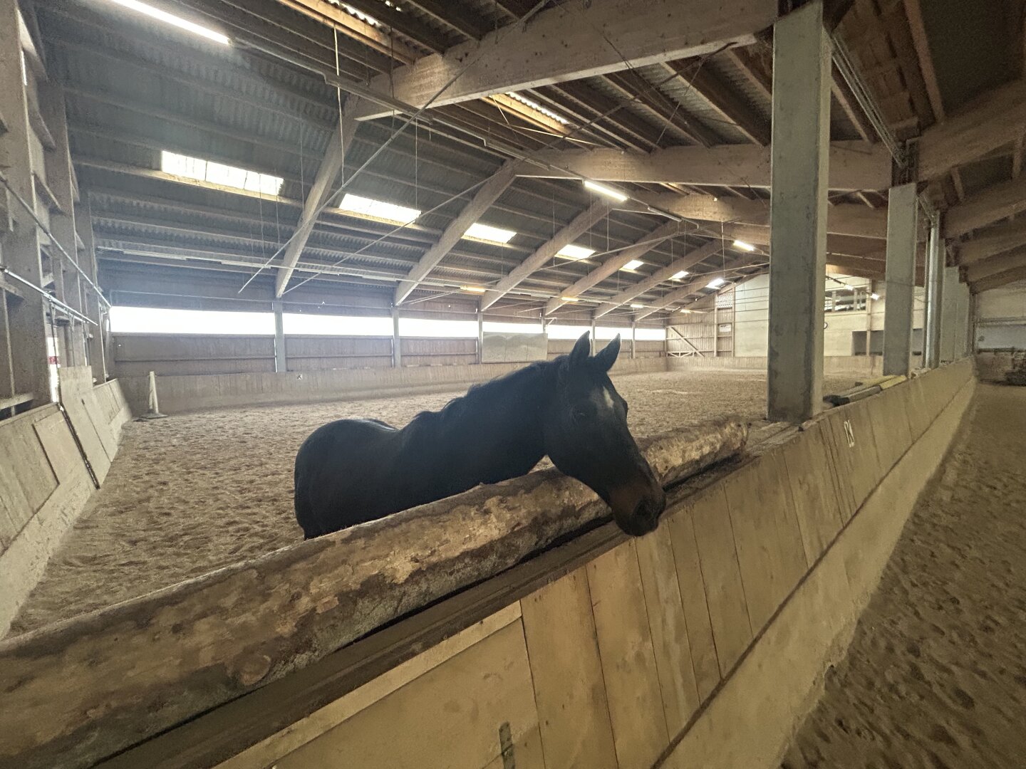 Romantischer Reithof mit Potential