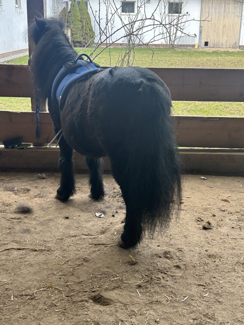 Romantischer Reithof mit Potential